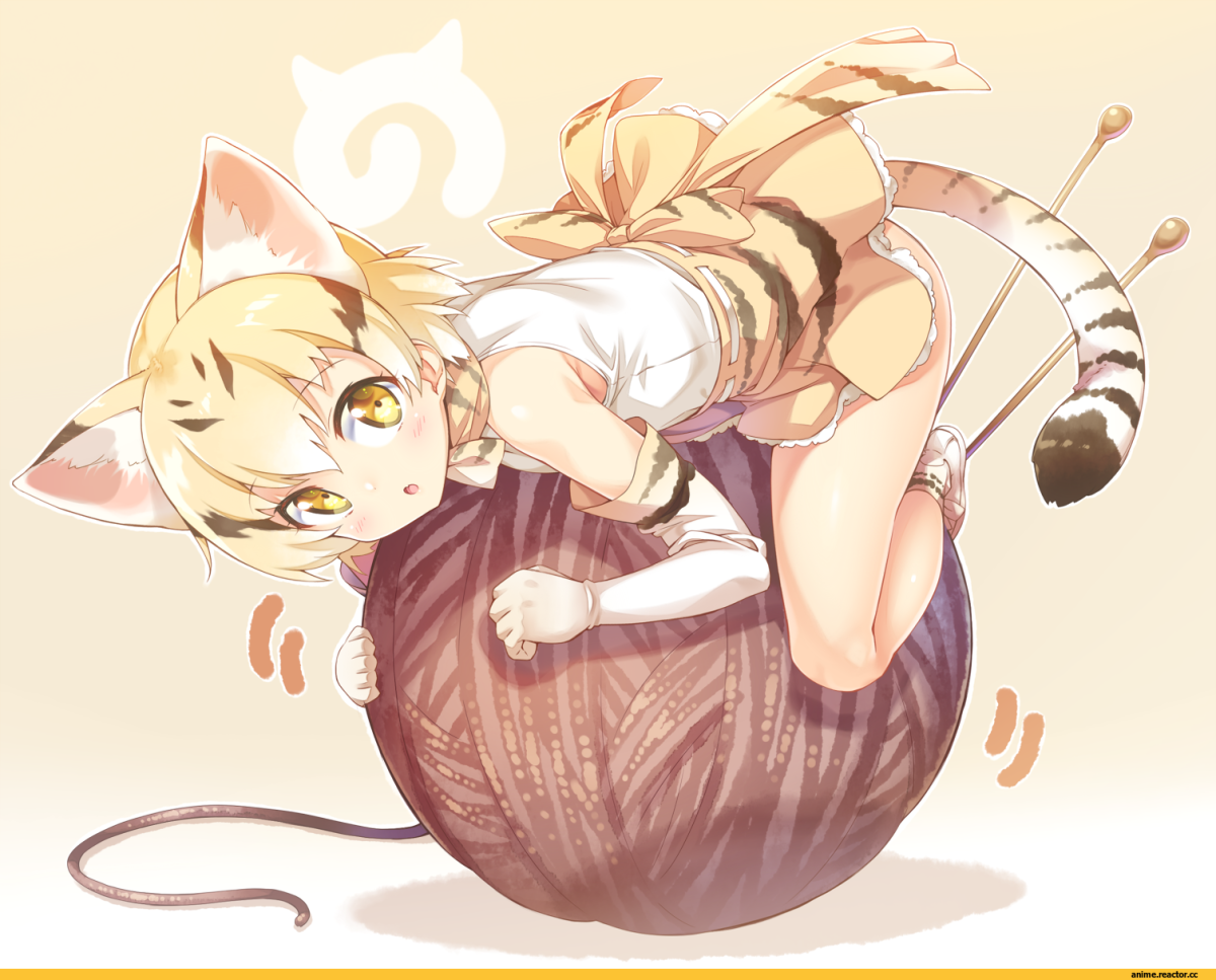 Аниме барханная кошка