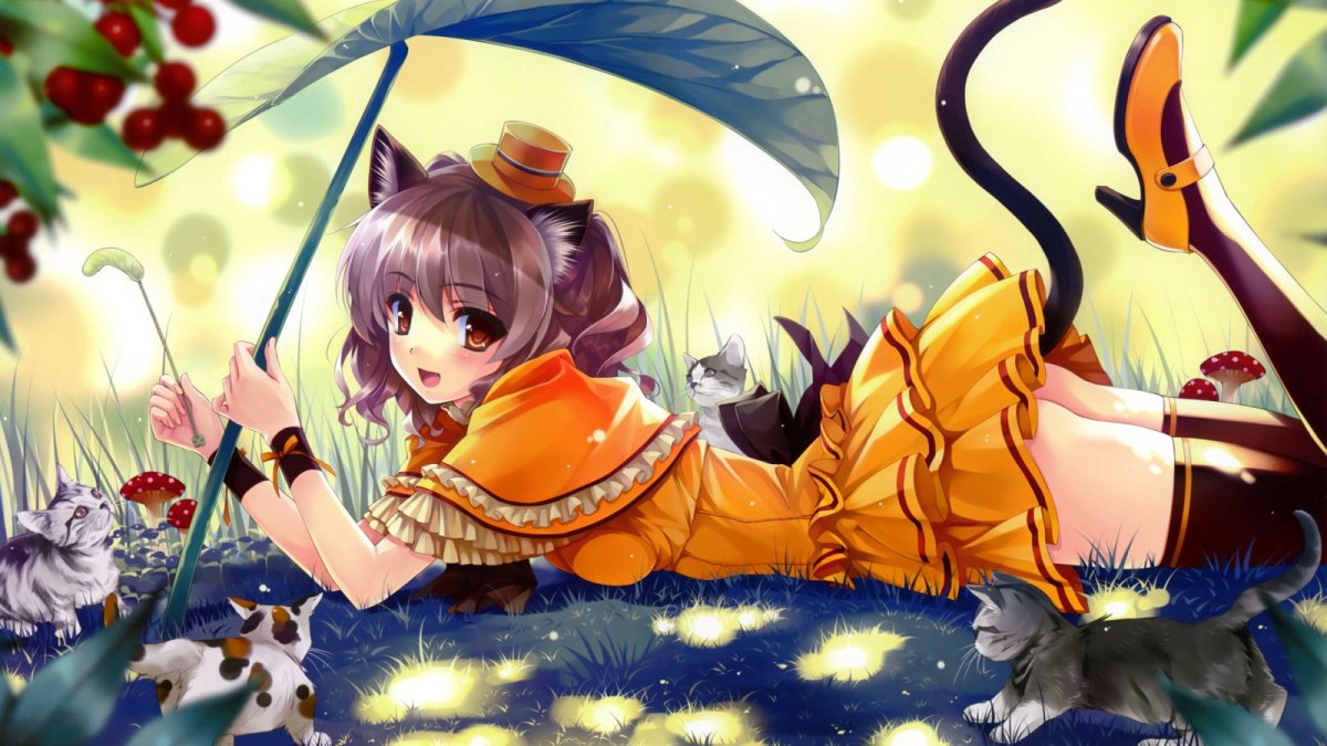 Арты диких неко