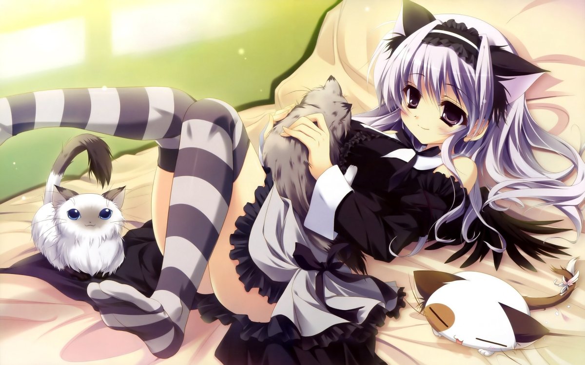 Кошка девочка