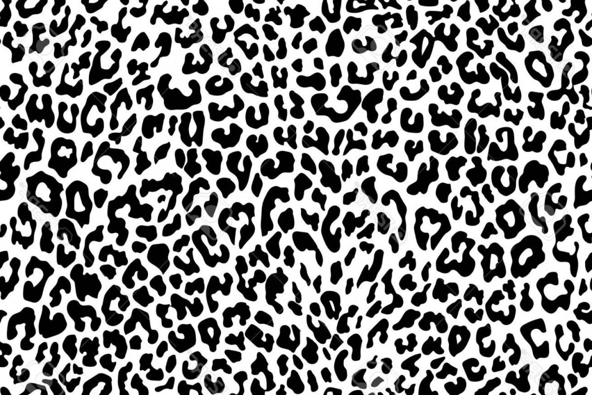 Принт леопард вектор