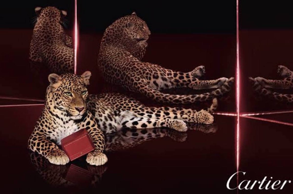 Текстура шкуры животных