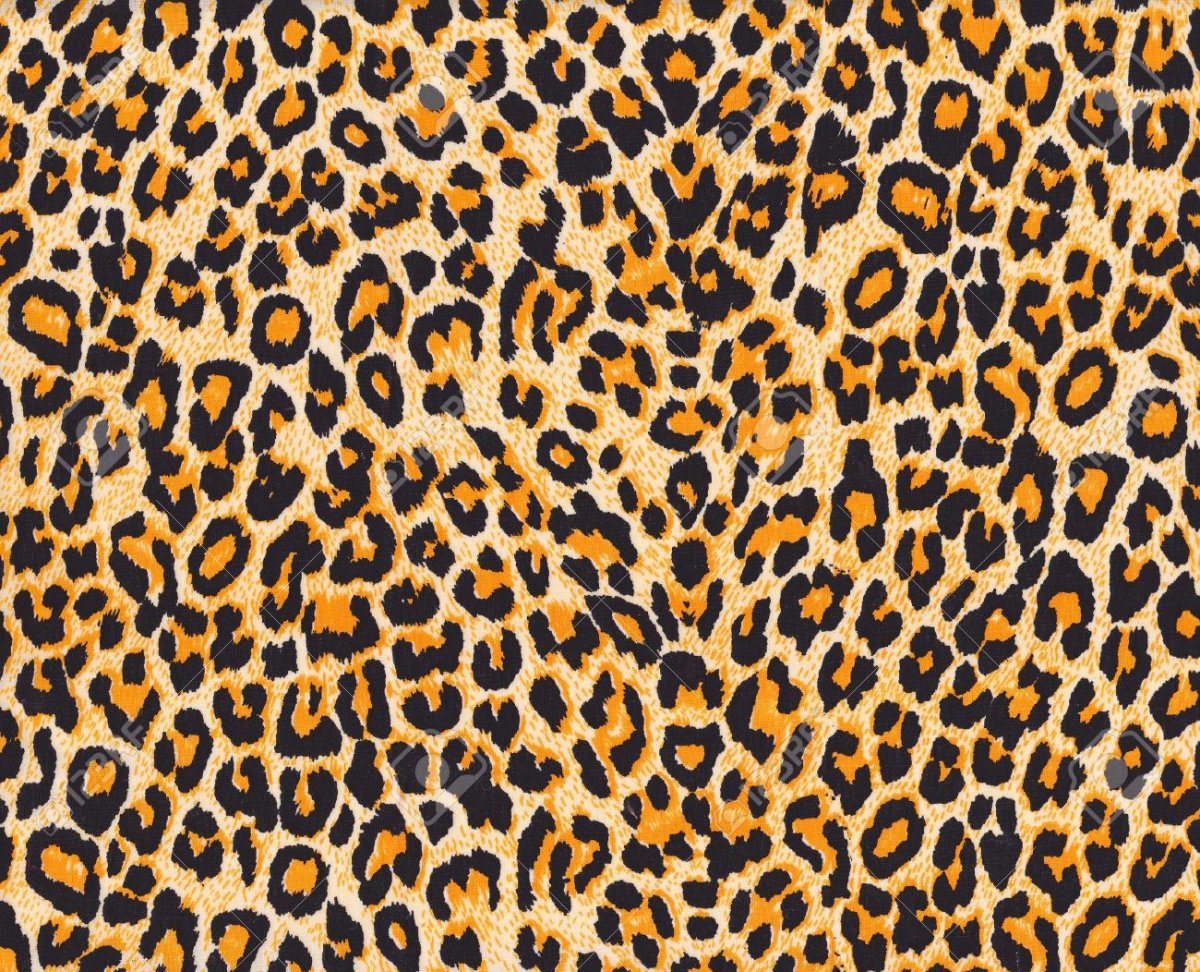 Леопард символ