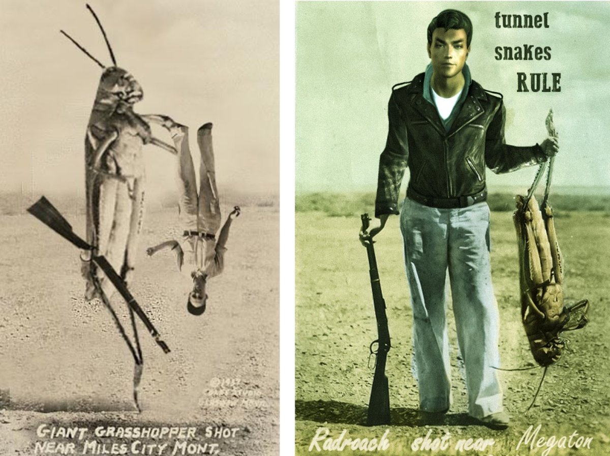 Гигантская австралийская Саранча