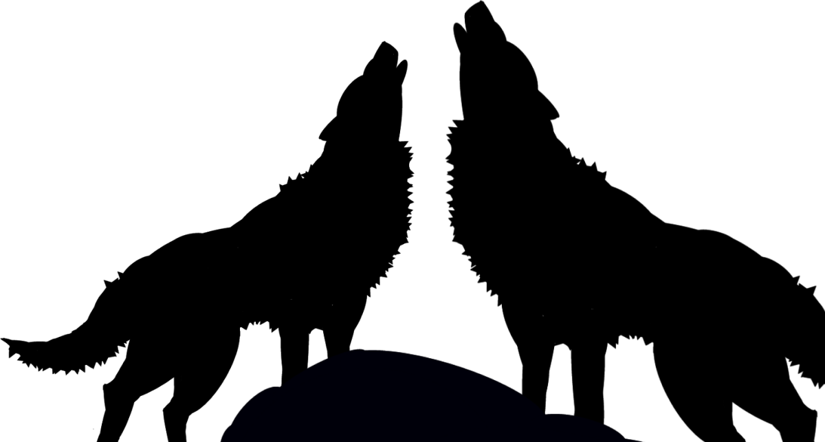 Силуэт волка на прозрачном фоне