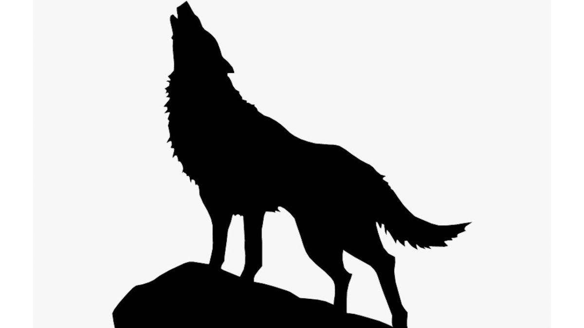 Воющий волк