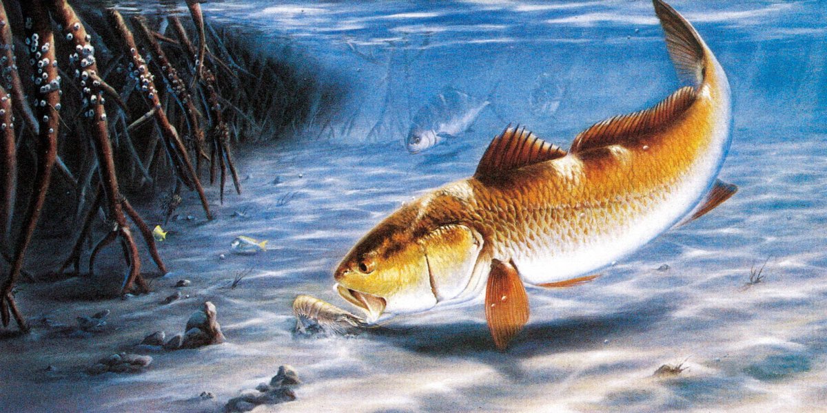 Блуп Морское чудовище