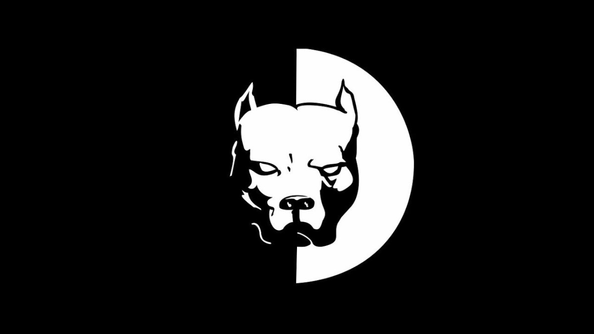 Pitbull Давидыч