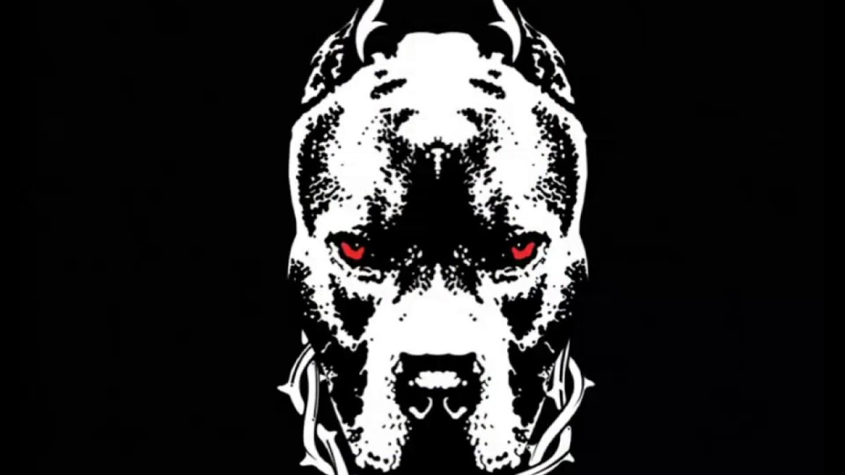 Питбуль аватар