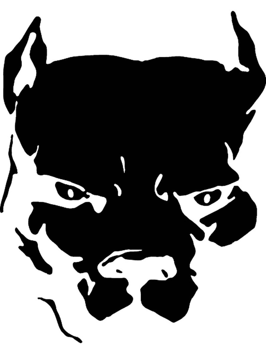 Наклейки с питбулем