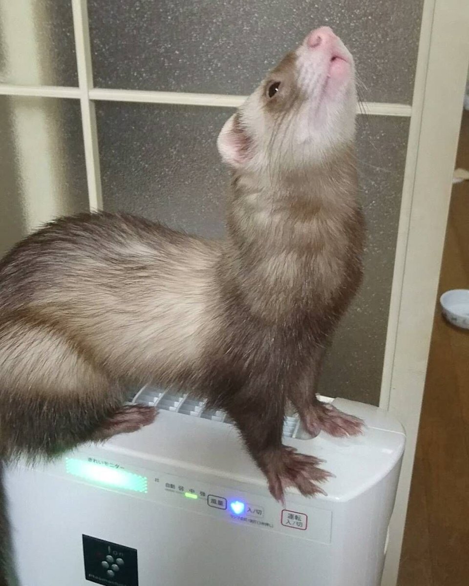 Южнорусская перевязка