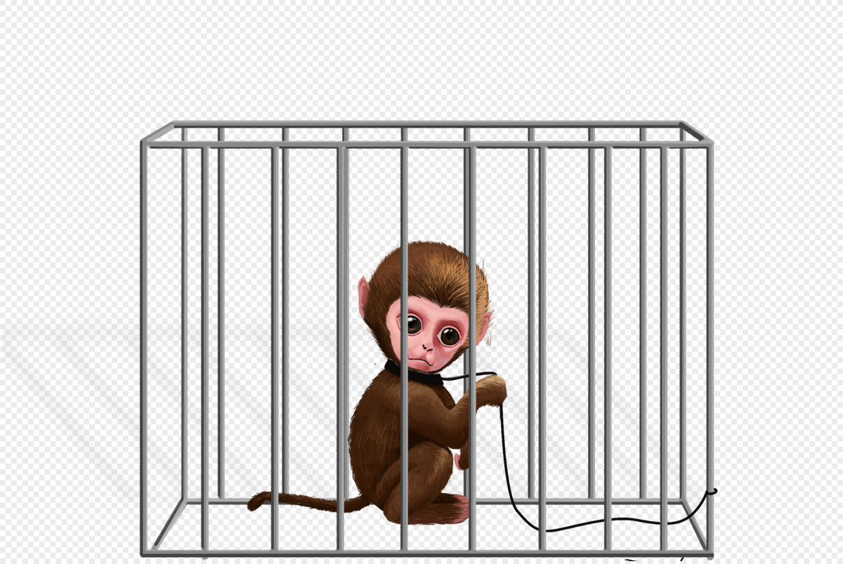 Мартышка в клетке