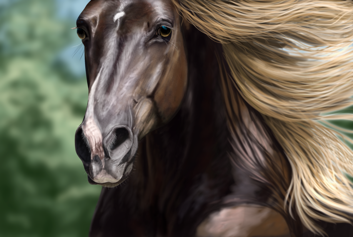 Ранчо-Гранде национальный парк