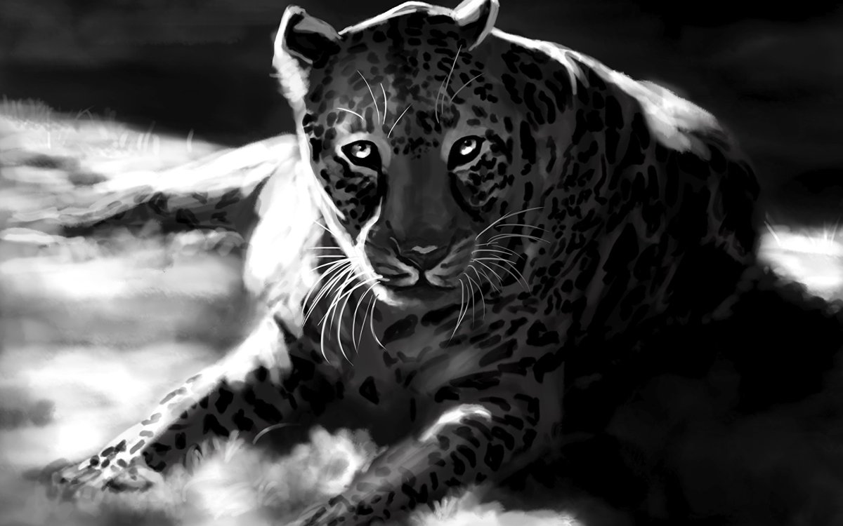 Леопард черно белый