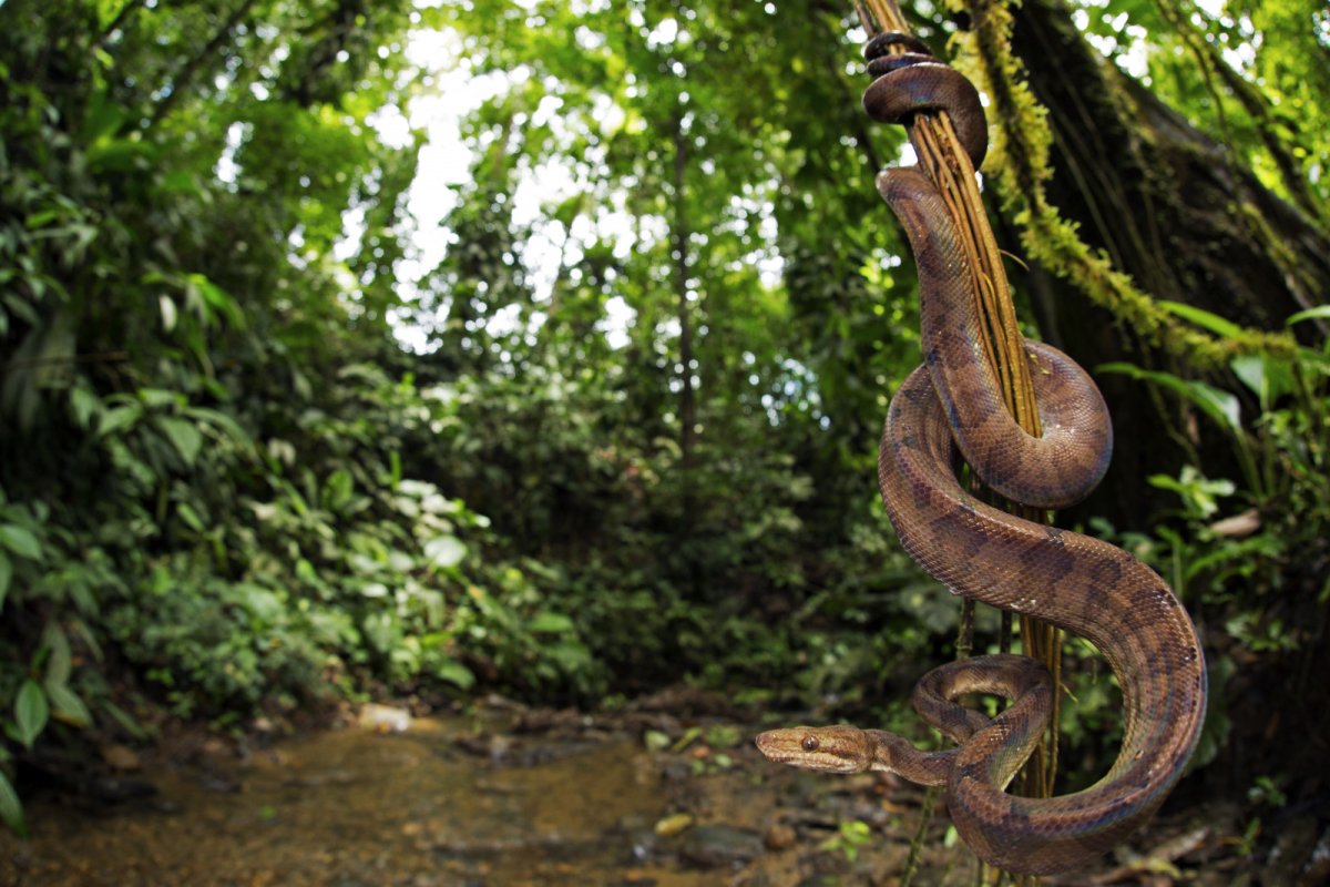 Андаманские острова Индия