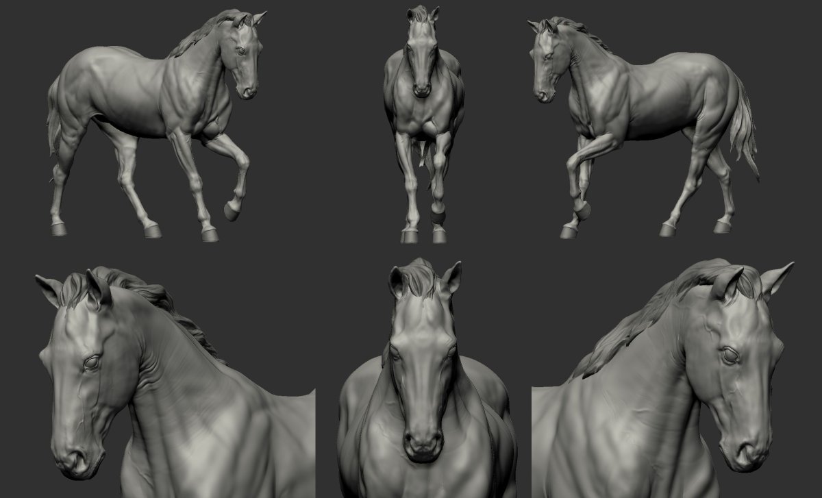 Лошадь сбоку референс