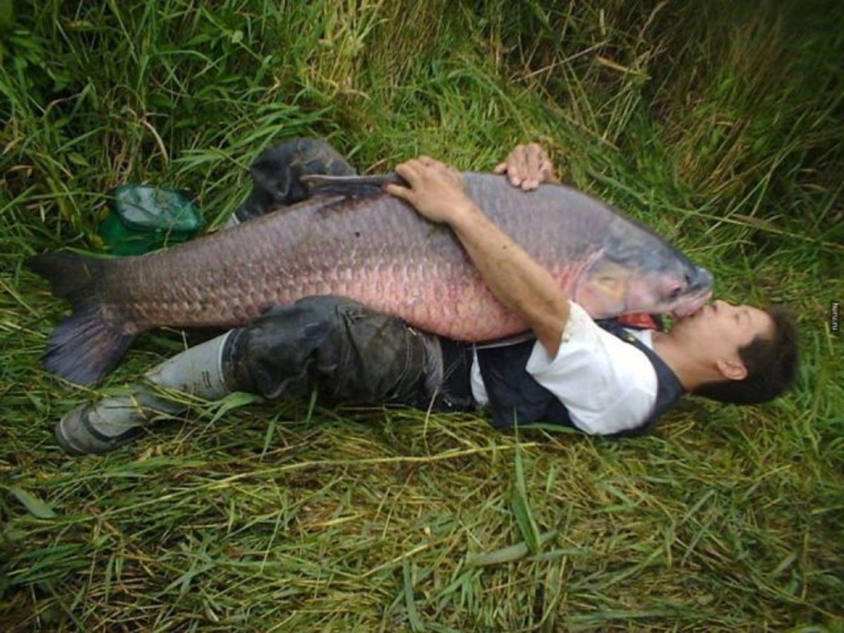 Ловля карася зимой