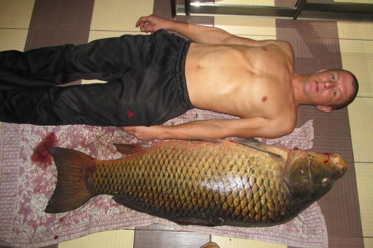 "Большой улов"