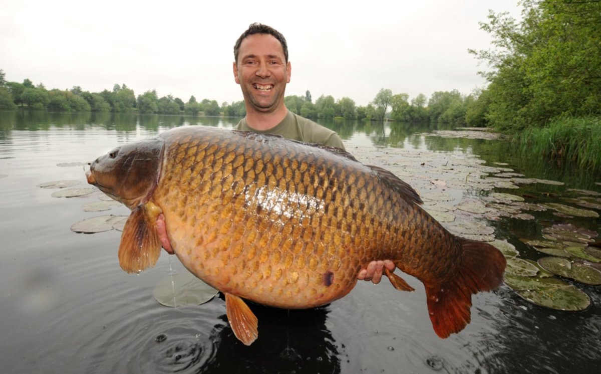 Ловля карася