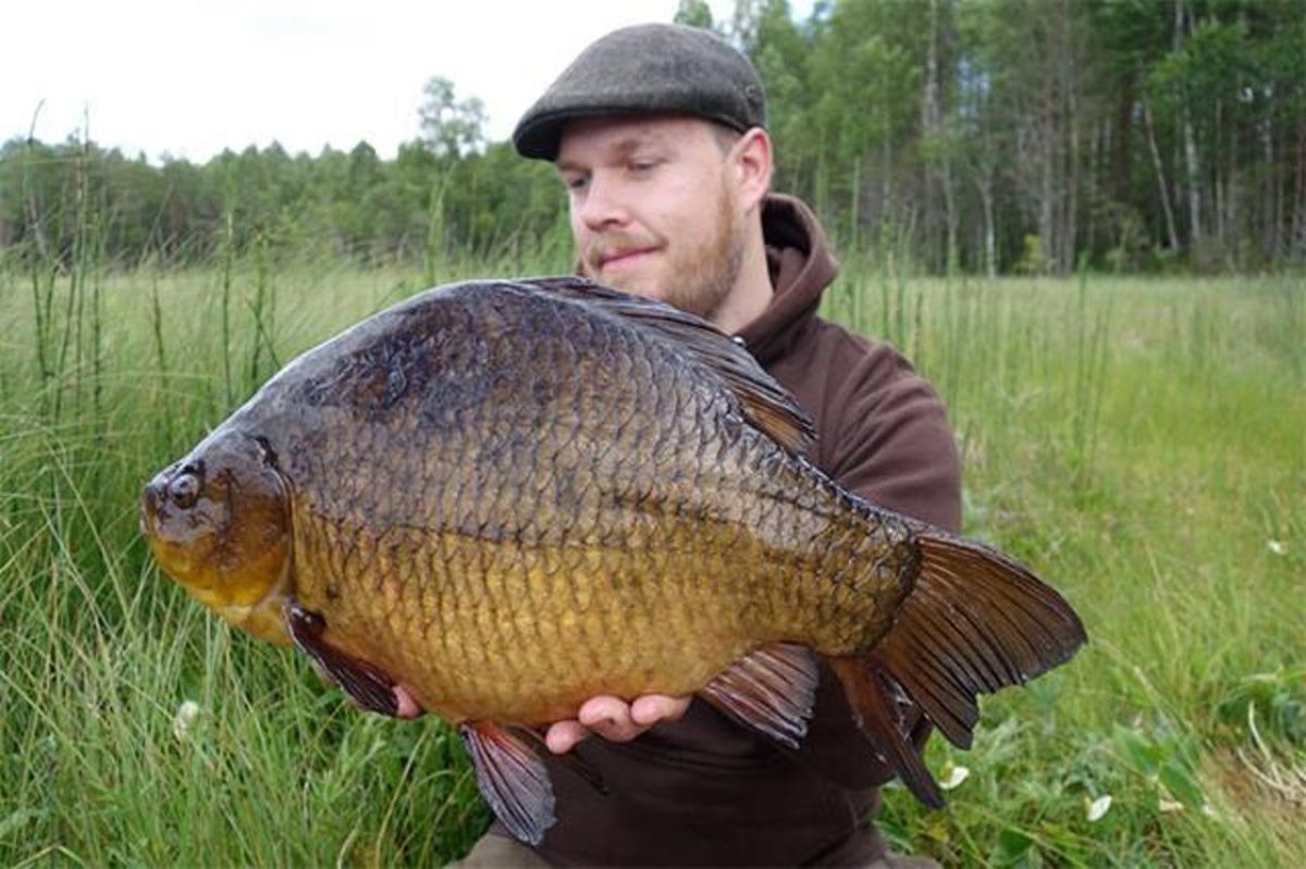 Самый большой карась пойманный в мире