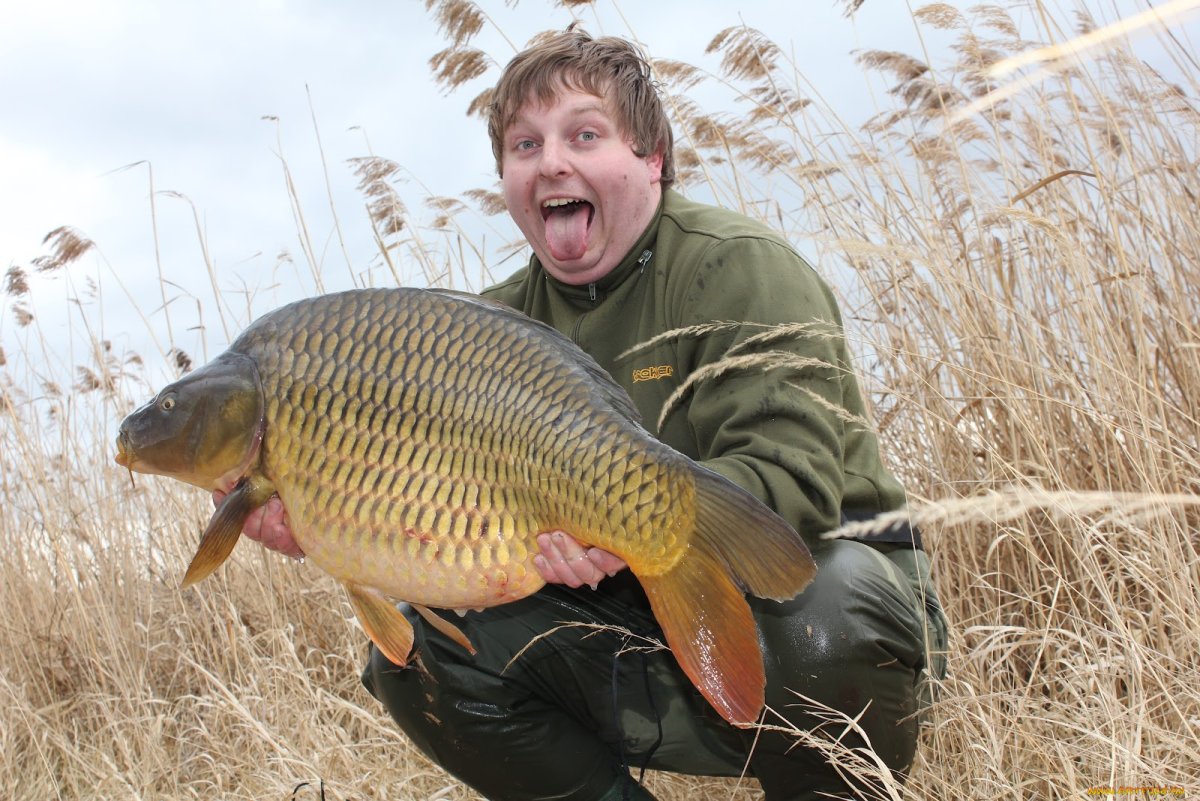 Огромный улов