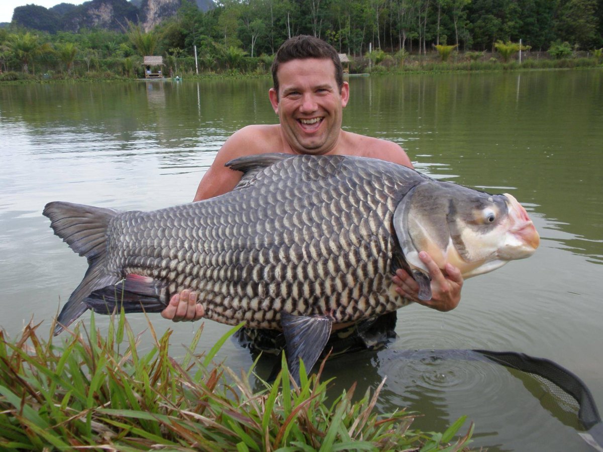 Большой карась