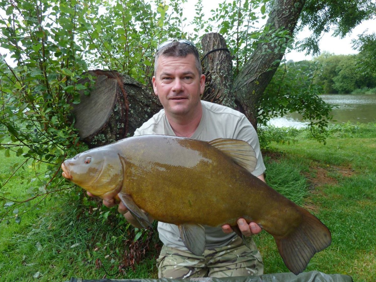 Карп призрак