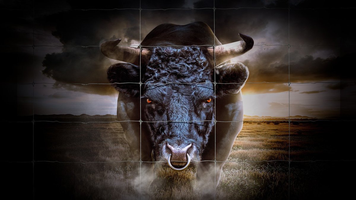 Бык. Арт