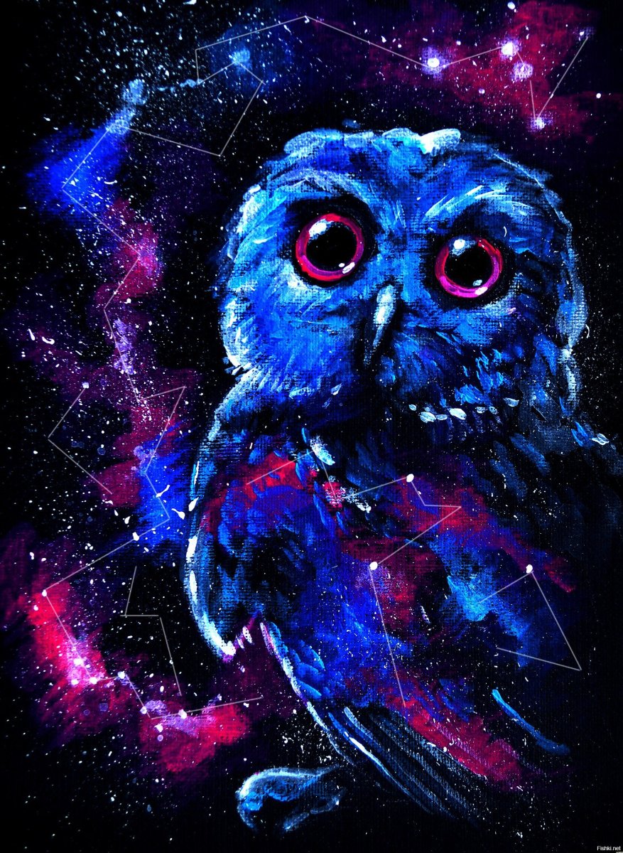 Аметистовый скворец