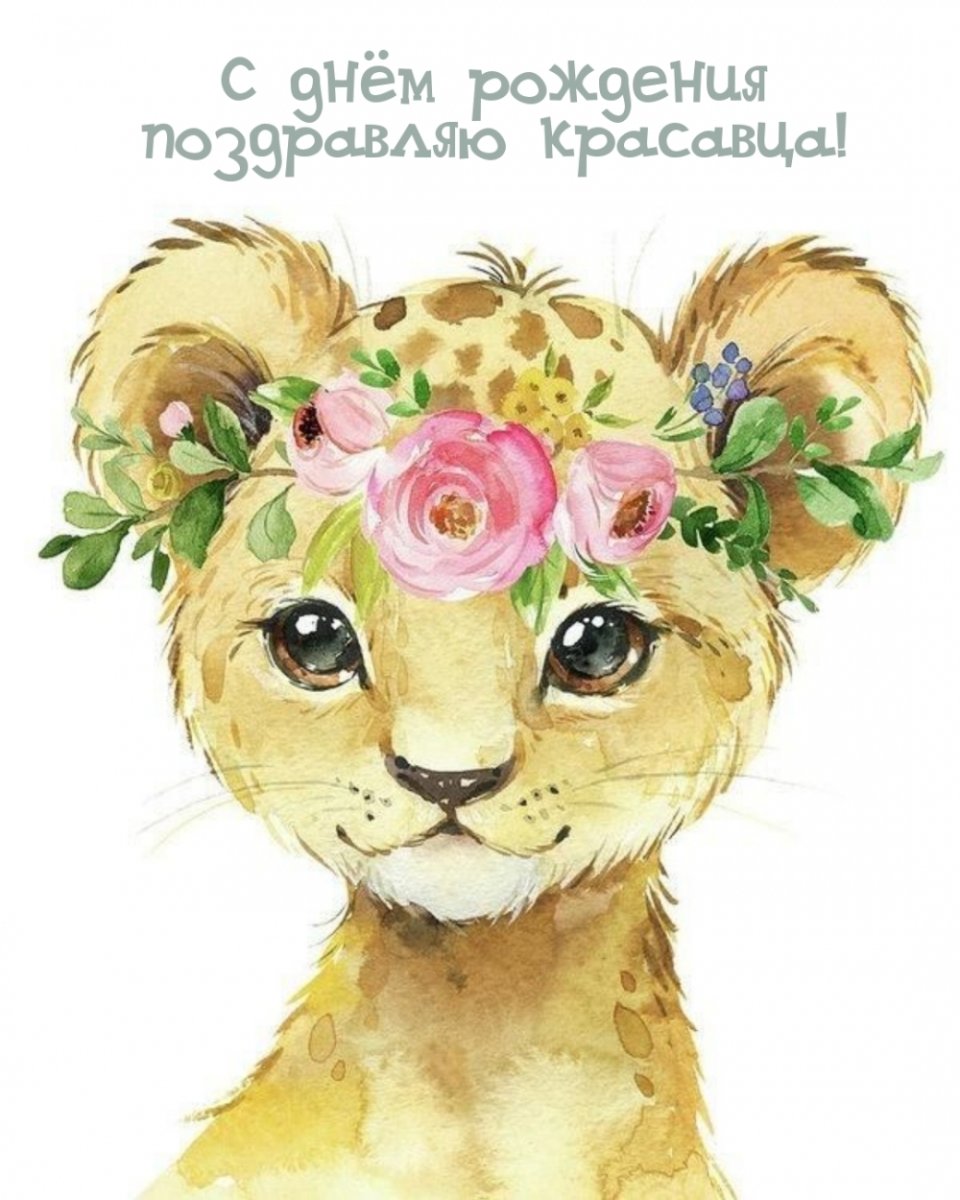 Рисунки милых животных