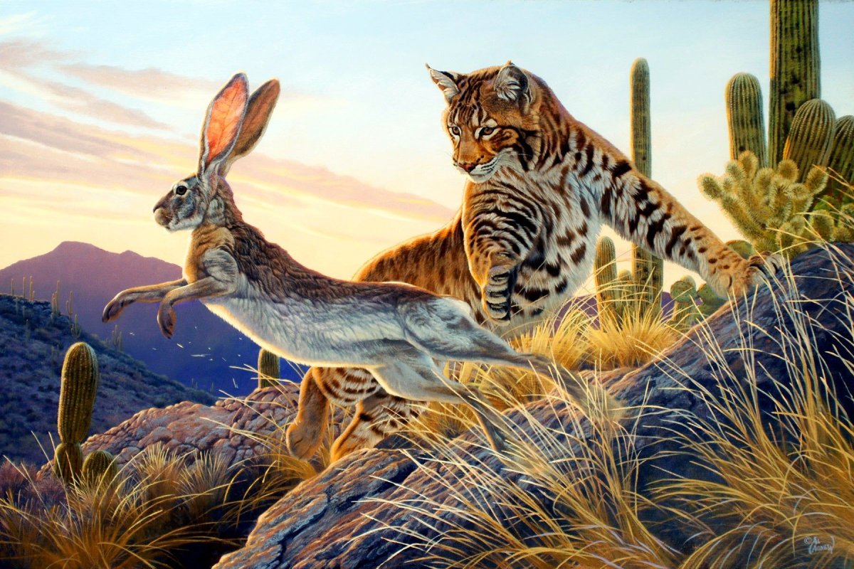 Леопардовая упаковочная бумага