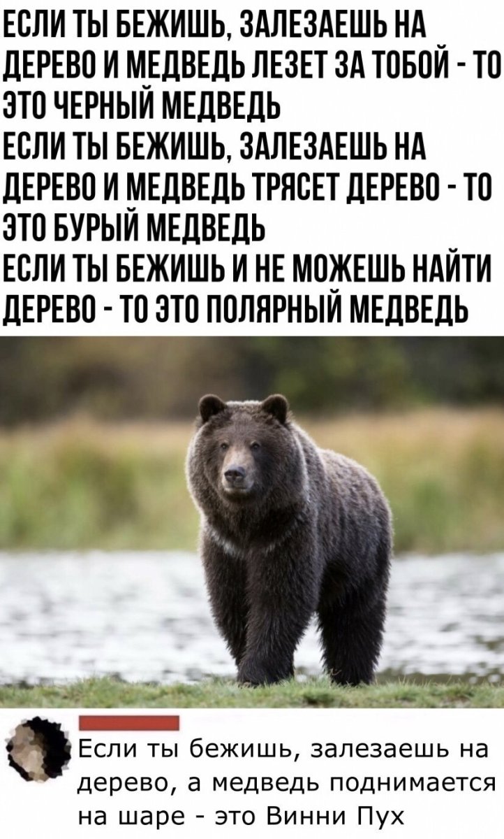 Да я особо и не знаю ничего медведь