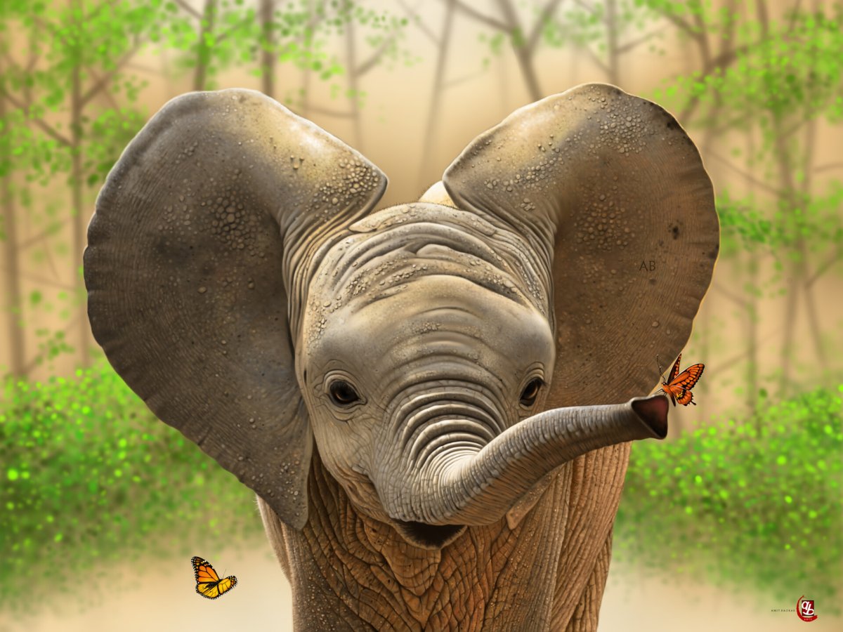 Слон насекомое