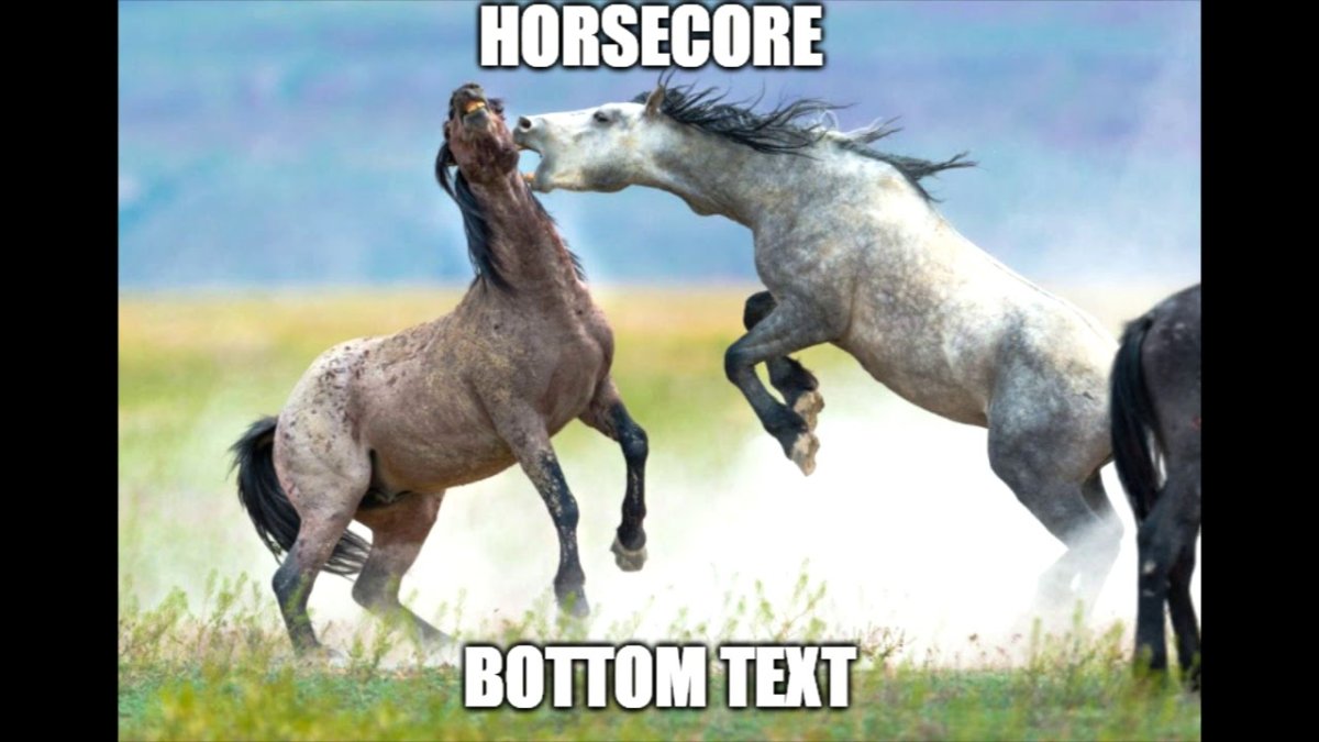 Вороной Мустанг иноходец