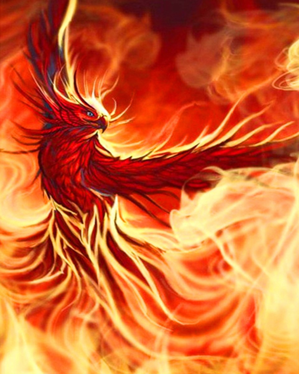 CMWYVERN игрушки