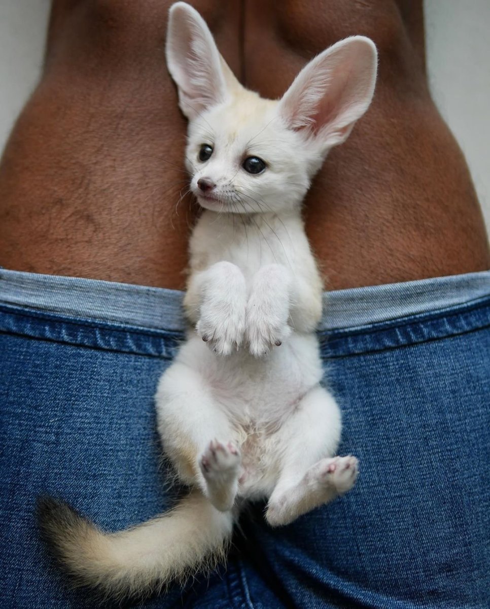 Тетрадь предметная 48 л. Феникс