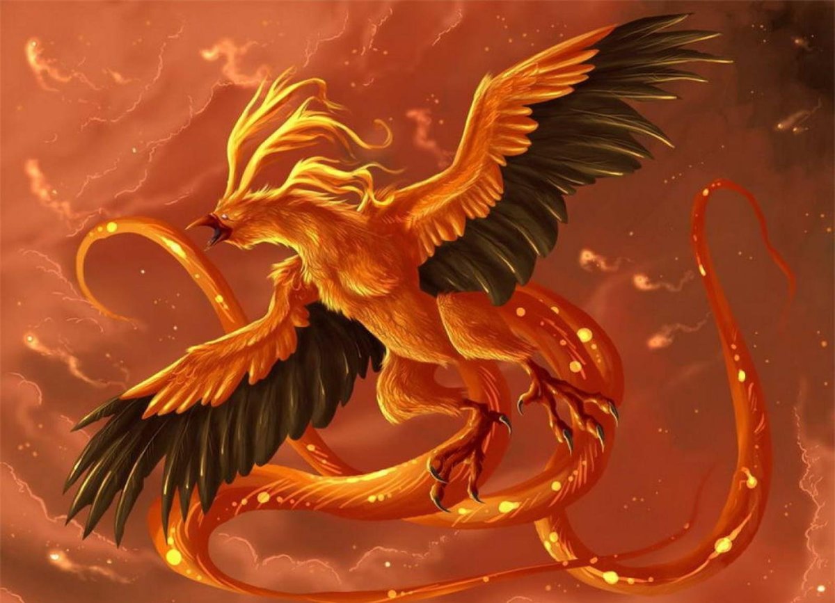 Судзаку Феникс