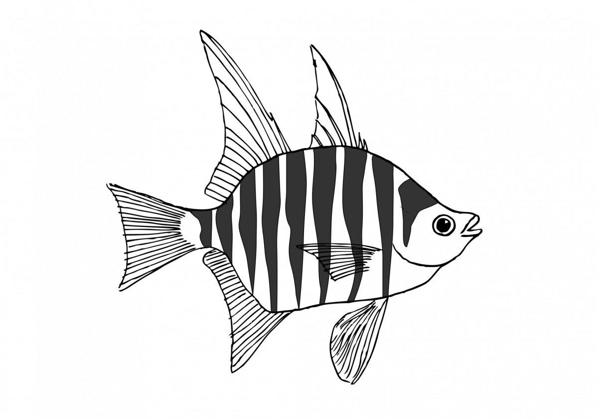 Аквариумные рыбки рыба Лев