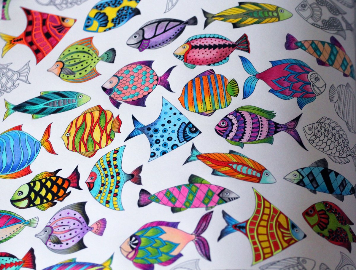 Лепоринус аффинис