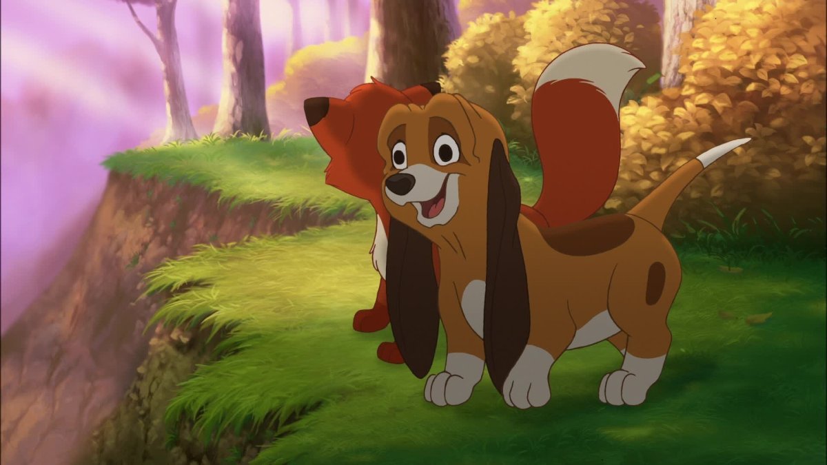 Лис и охотничий пес 1