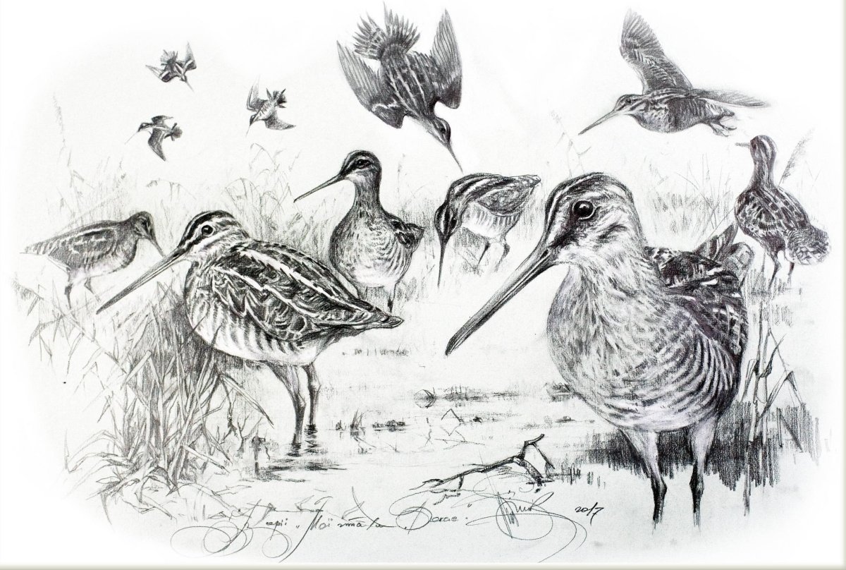 Орел красивый арт