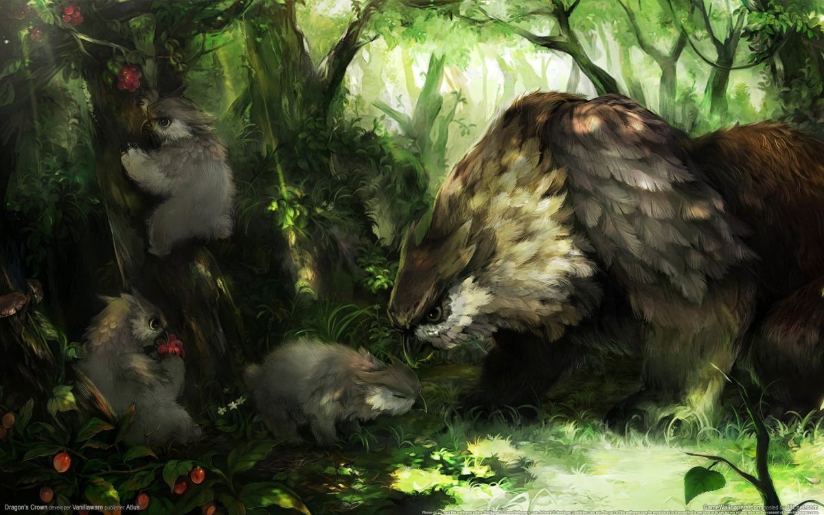 Кровавый ястреб ДНД