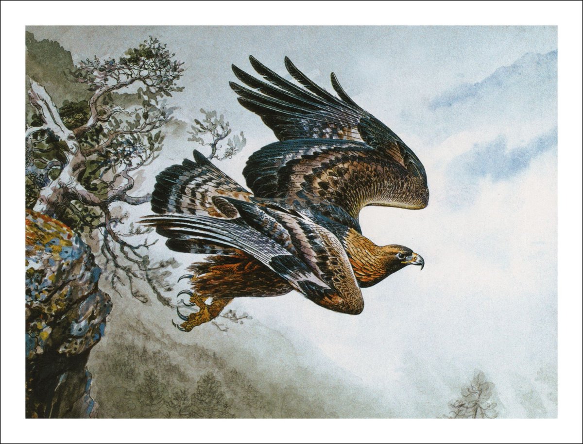 Художник Вадим Горбатов