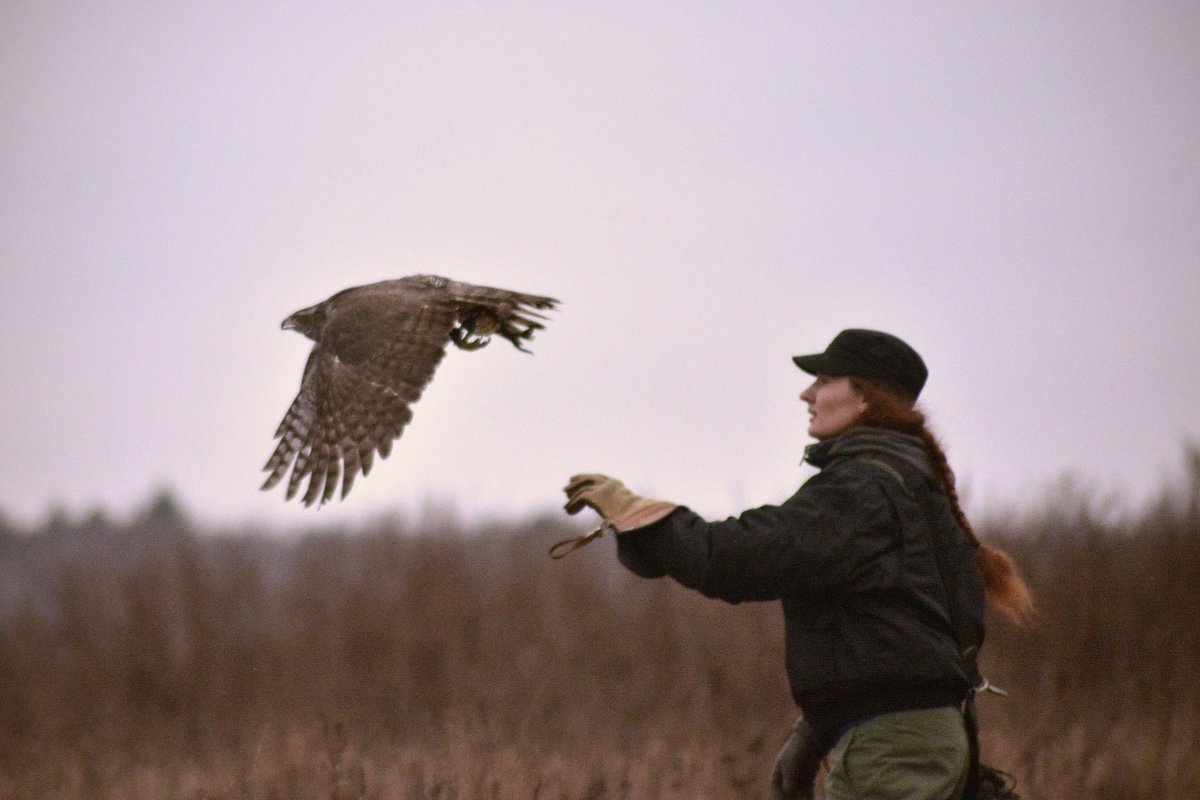 Незаконная охота ст 258 УК РФ