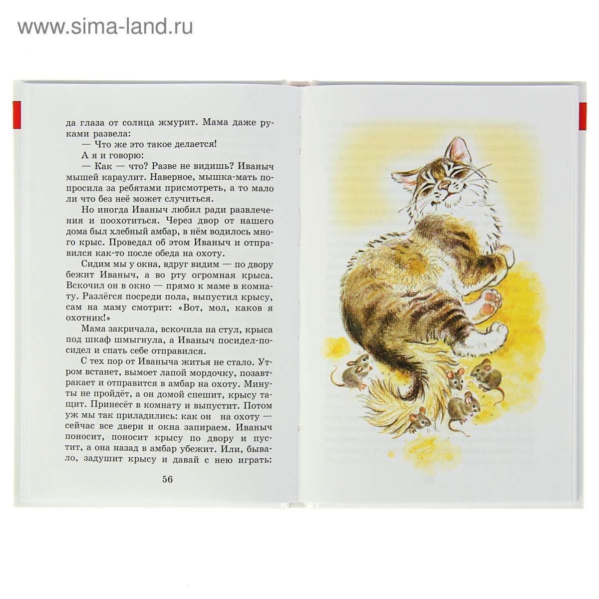 Георгий Скребицкий кот Иван