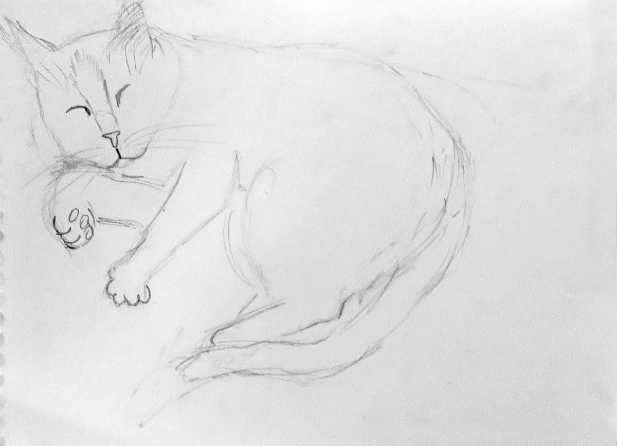 Вышивка крестом кот монохром