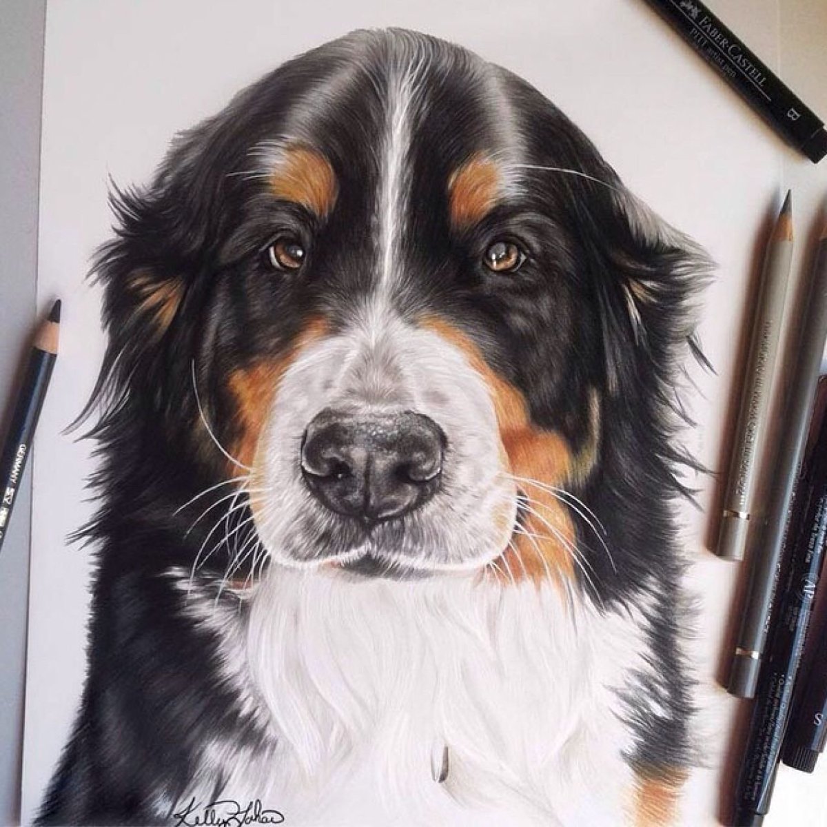 Фотосессия девушка с собакой