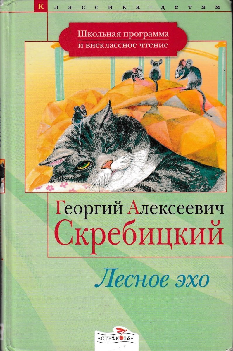 Мыши кошку изловили раскраска для детей