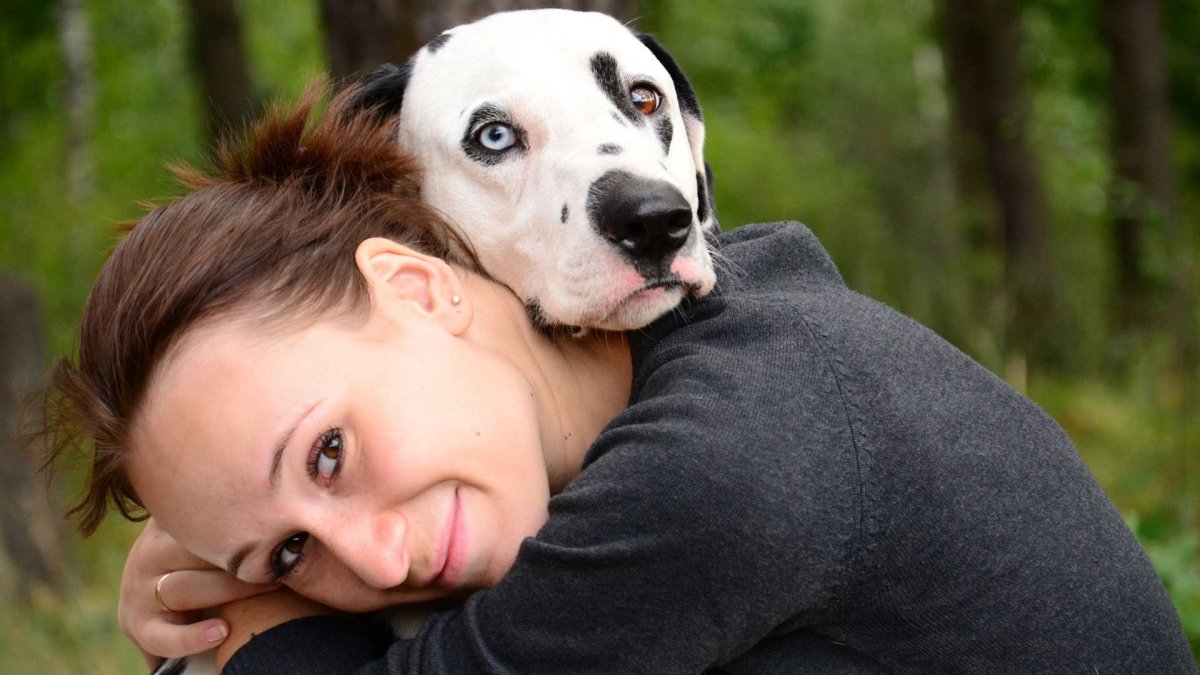 Каждая собака Томск