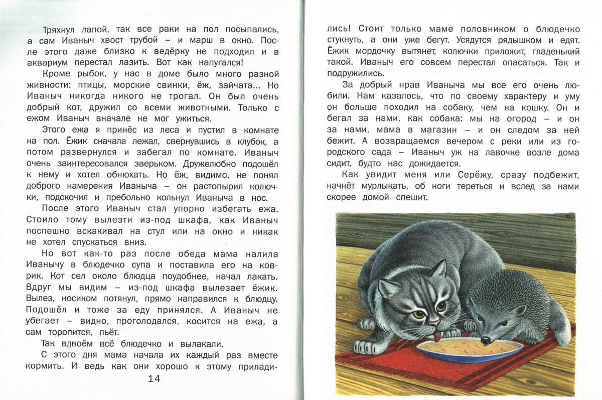 Рассказ кот Иваныч