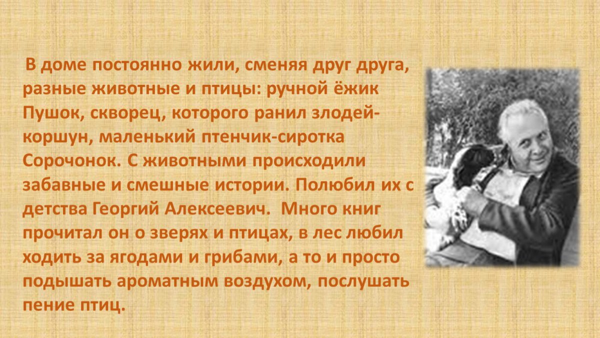 Котенок. Раскраска